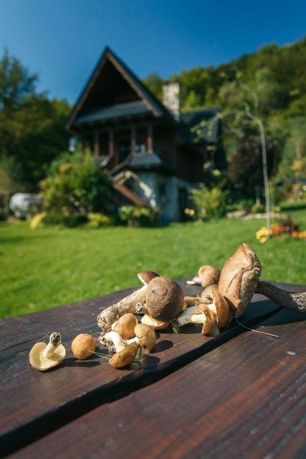 Na Czakowie Homestay Wolkowyja